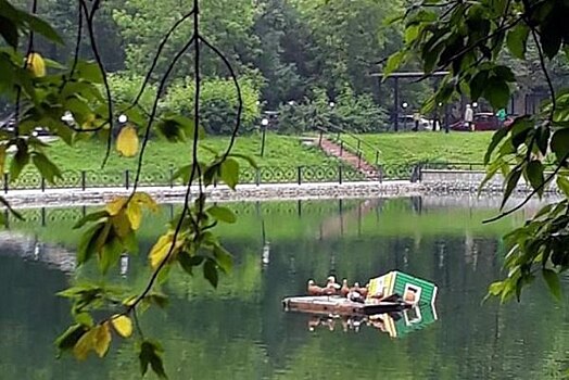 Домик для огарей на Амбулаторном пруду отремонтируют до 15 июля