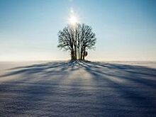 СМИ: в убийстве 10-летнего мальчика в Сакмарском районе сознался подросток