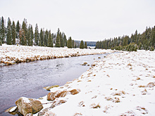 В Приамурье пытаются установить личность гражданина КНР, чье тело нашли в 2020 году