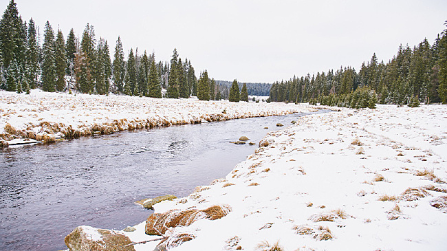 В Приамурье пытаются установить личность гражданина КНР, чье тело нашли в 2020 году