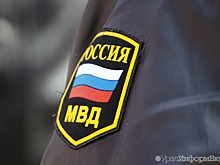 Охранять горящую свалку на Уралмаше поставили полицию