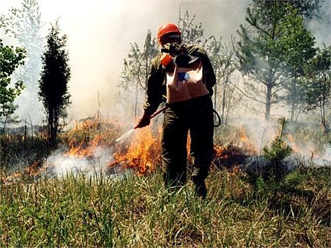 12 лесных пожаров зарегистрировано в Красноярском крае