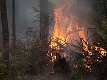 В Бурятии локализовали все торфяные пожары Кабанского района