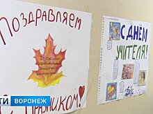 Призвание быть педагогами. Как в Воронеже отметили День учителя