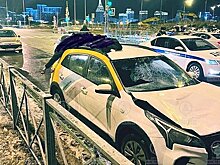 Возившего труп на крыше каршеринга россиянина взяли под стражу