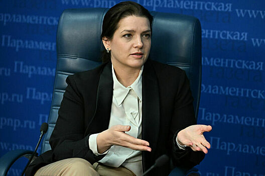 Костенко: Необходимо ввести ответственность за незаконную деятельность гидов