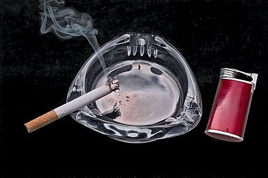 В России поддержали новозеландский метод борьбы с курением
