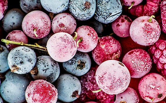 Запасайтесь витаминами: как правильно замораживать ягоды и фрукты