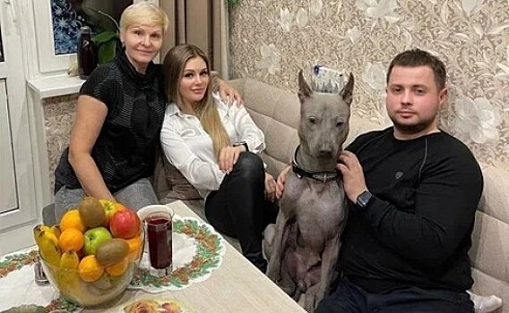 «Умный» торт и апельсиновая курица. Супербабушки из Южного Бутова поделилась новогодним меню