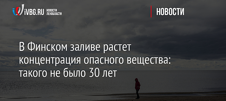 В Финском заливе растет концентрация опасного вещества: такого не было 30 лет