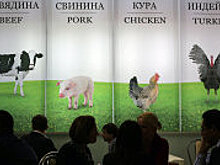 Россия может запретить ввоз картофеля из Белоруссии из-за реэкспорта