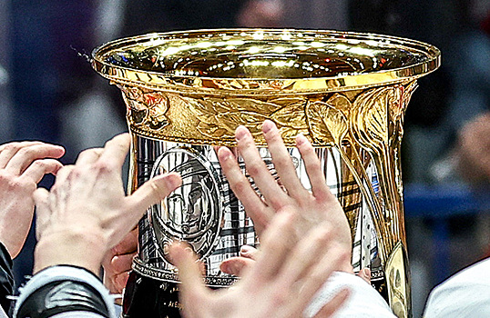 У Кубка Гагарина появится новый владелец