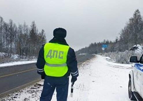 В Кирове на посту ДПС задержали партию мясной продукции без документов