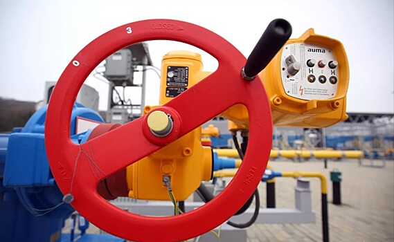 В Эстонии призвали ввести режим ЧС из-за возможного дефицита газа