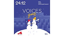 Новогодний маркет пройдет в Вологде в день VOICES (16+)
