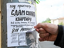 Расклейщиков несанкционированных объявлений будут штрафовать на месте