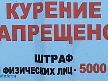 Площадку перед квартирой Мизулиной измарали фекалиями