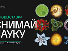 Внеземные миры и застывшие во времени: фотовыставка «Снимай науку!» пройдет в самом сердце Москвы