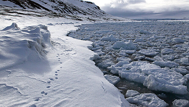 Арктике угрожает загрязнение пластиком, заявили российские ученые