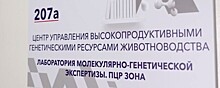 На Ставрополье заработала крупнейшая на юге РФ лаборатория молекулярно-генетической экспертизы