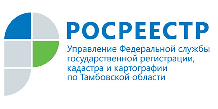 В единый день консультаций специалисты Росреестра расскажут тамбовчанам, как получить услуги ведомства в электронном виде