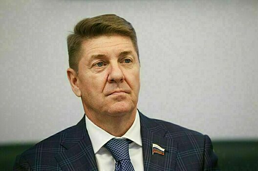 Шевченко заявил, что до 80% основных стройматериалов на рынке — отечественные