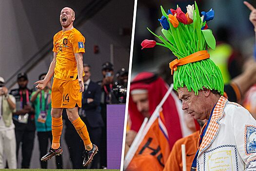 Болельщик пришёл в шапке из тюльпанов, Нидерланды победили Сенегал. Яркие фото матча ЧМ