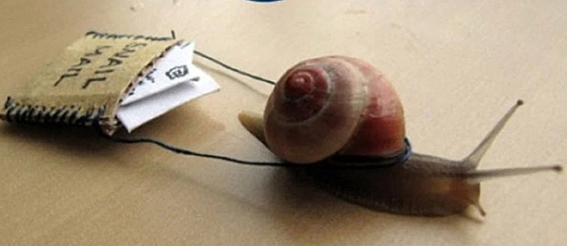 «Почта России» предлагает взимать с маркетплейсов по 0,5% оборота в свою пользу