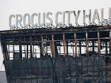 Расследование дела о теракте в «Крокусе» завершено