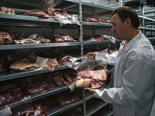 Россия начинает поставки говядины в Китай