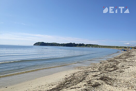 Морские гады уже мешают купальщикам Владивостока