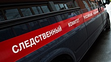 Московский СК начал проверку после гибели выпавшего из окна журналиста Sputnik