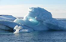 Названа причина резкого потепления в Арктике