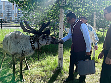 Делегаты BRICS Global Media Tour погрузились в культуру Югры