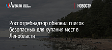 Роспотребнадзор обновил список безопасных для купания мест в Ленобласти