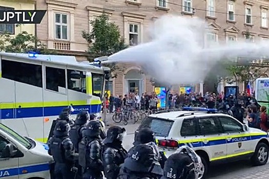 Жесткий разгон протестов в Словении попал на видео