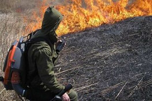 В Курской области ввели противопожарный режим