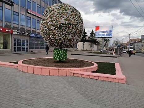 В Калуге зарозовели бордюры