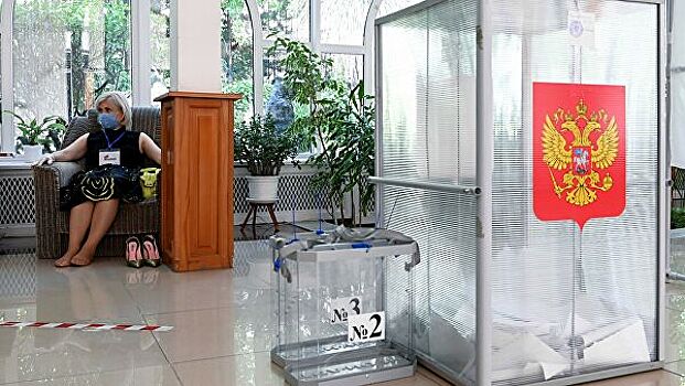 Новосибирский облизбирком объяснил голосование мужчины за четверых