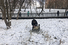 В Капотне спасли собаку