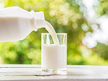 В Казахстане запустят первое в республике промышленное производство гипоаллергенного молока