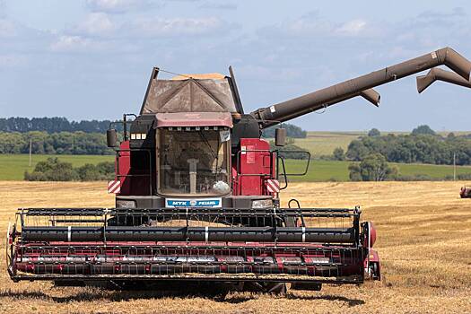 Аналитики улучшили прогнозы по урожаю российской пшеницы