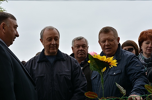 Губернатор поблагодарил Панкова за поддержку в передаче городу участков