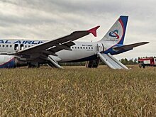 Посадивший самолет под Новосибирском пилот Белов рассказал о приглашении на работу в Азии