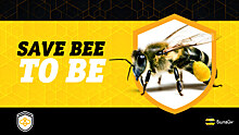 «Билайн» займётся спасением пчёл