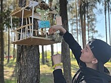 Студенты Кирова приняли участие в туристическом слёте
