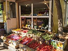 В Саратове составили 5 протоколов о незаконной уличной торговле