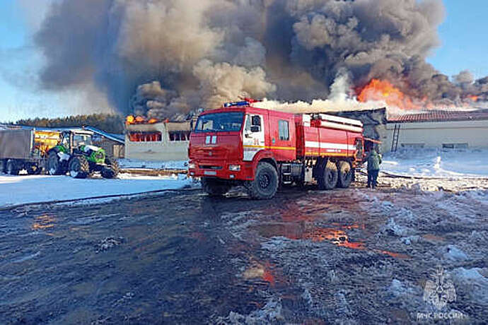 МЧС: в Ульяновской области горит птицефабрика на площади 4 тыс. кв. метров