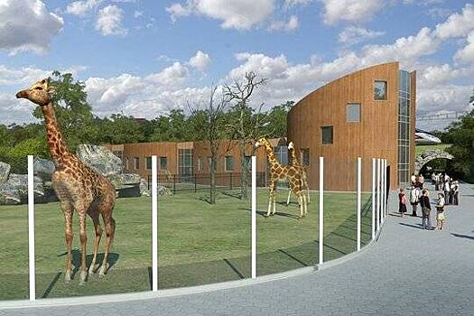 В Казани снова назвали сроки открытия многострадального зоопарка
