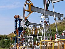 В Татарстане нашли новое месторождение нефти